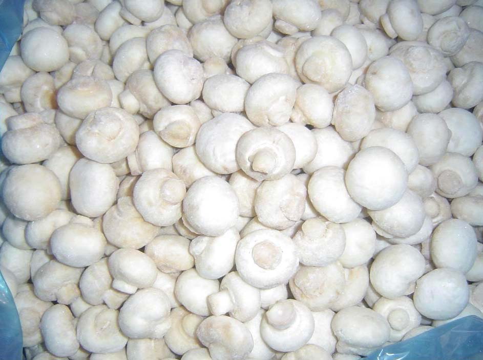 IQF CHAMPIGNON